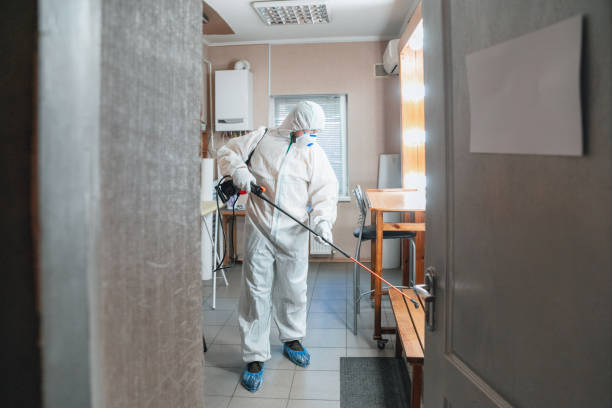 Best Environmental Consulting for Mold Prevention  in Wilton, IA