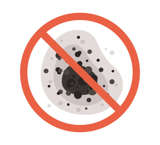 Forensic Mold Investigation in Wilton, IA