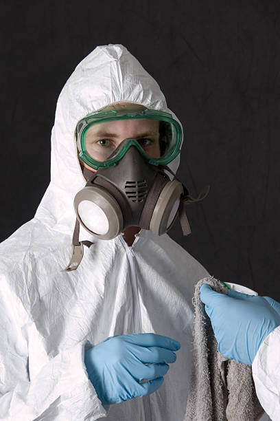 Mold Removal for HVAC Installations in Wilton, IA